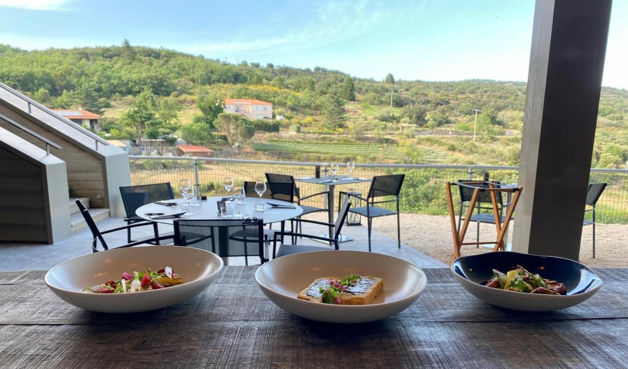 Domaine Riberach - Restaurant Etoile - Spa - Piscine Naturelle - Vignoble Bio Bélesta Exteriér fotografie